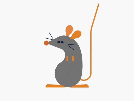 سمپاشی موش